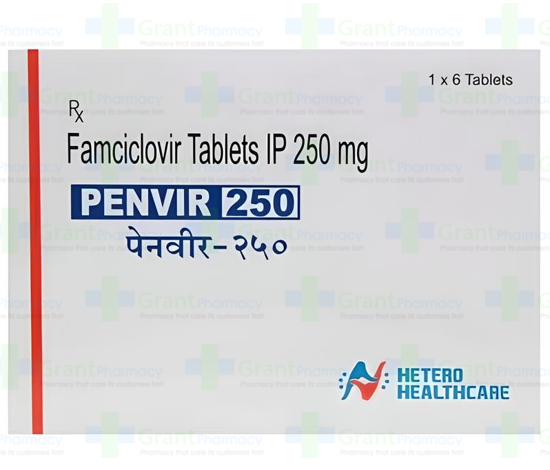 What is Famvir 500mg used for?