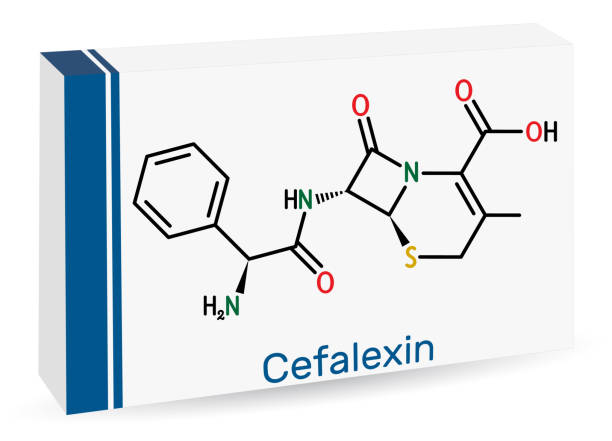 Cefalexin Therapy | Bacterial Infection | Recurrent Symptomatic UTI | Bacterial Cell Wall | Patients Treated with Cefalexin | 